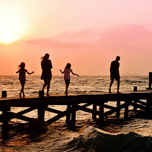 Family Therapy 1 family counseling